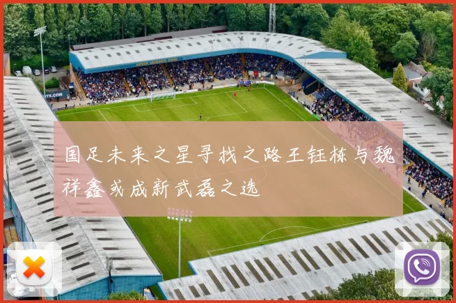 国足未来之星寻找之路王钰栋与魏祥鑫或成新武磊之选