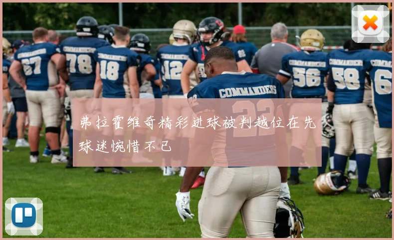 弗拉霍维奇精彩进球被判越位在先球迷惋惜不已