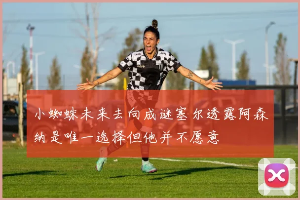小蜘蛛未来去向成谜塞尔透露阿森纳是唯一选择但他并不愿意