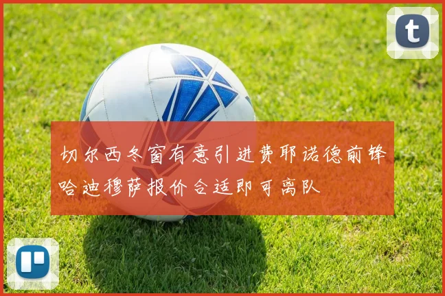 切尔西冬窗有意引进费耶诺德前锋哈迪穆萨报价合适即可离队